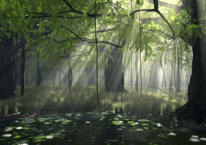 Sunlight through a forest